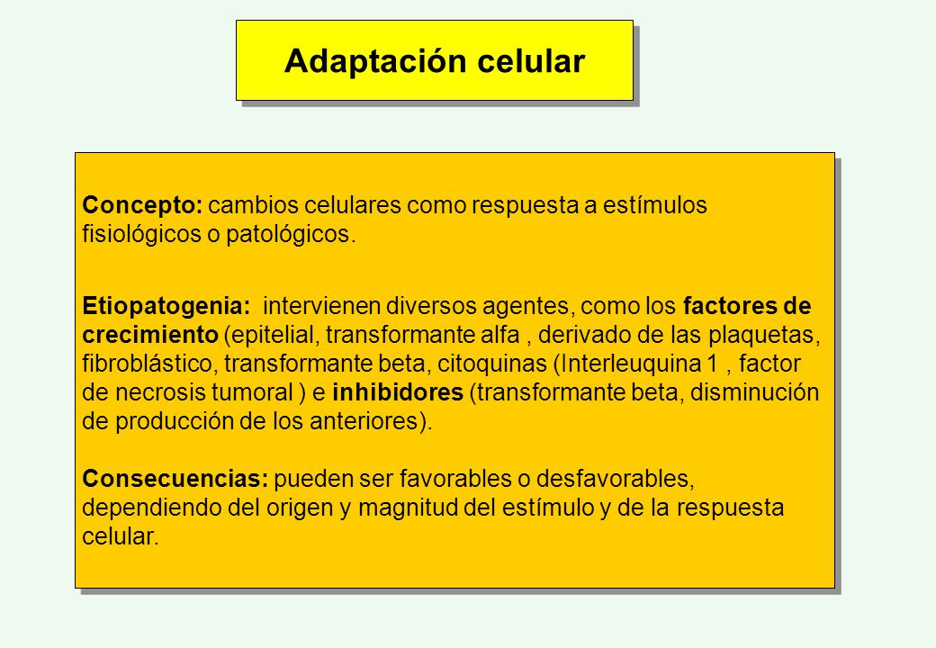 Adaptación celular Concepto: cambios celulares como respuesta a estímulos fisiológicos o patológicos.