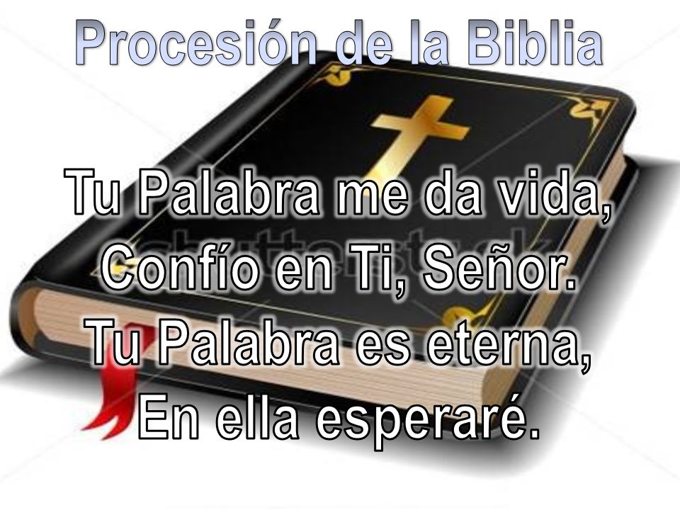 Procesión de la Biblia Tu Palabra me da vida, Confío en Ti, Señor.