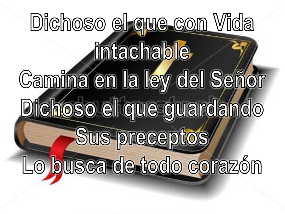 Dichoso el que con Vida intachable Camina en la ley del Señor