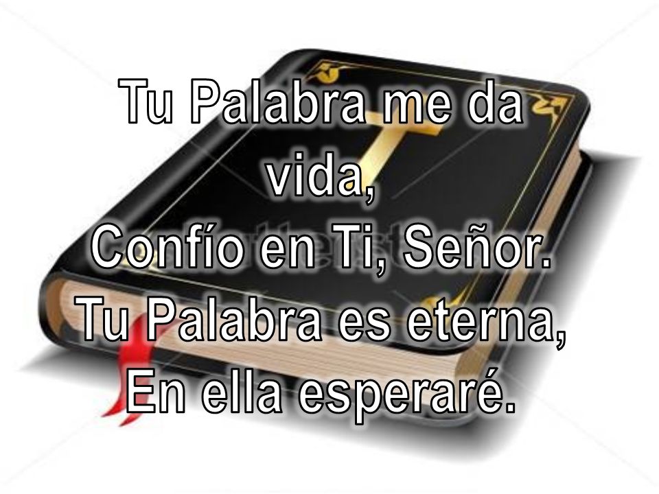 Tu Palabra me da vida, Confío en Ti, Señor. Tu Palabra es eterna, En ella esperaré.