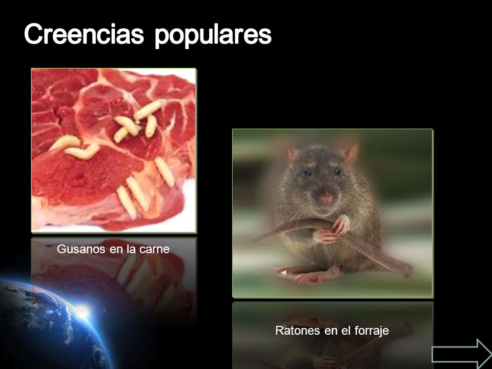 Creencias populares Gusanos en la carne Ratones en el forraje