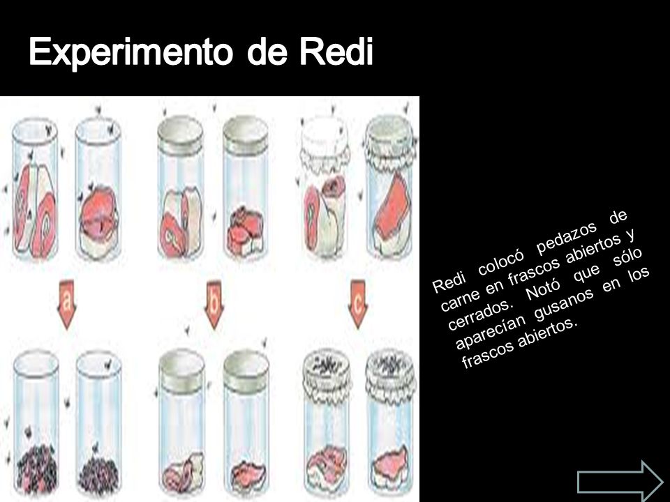 Experimento de Redi Redi colocó pedazos de carne en frascos abiertos y cerrados.