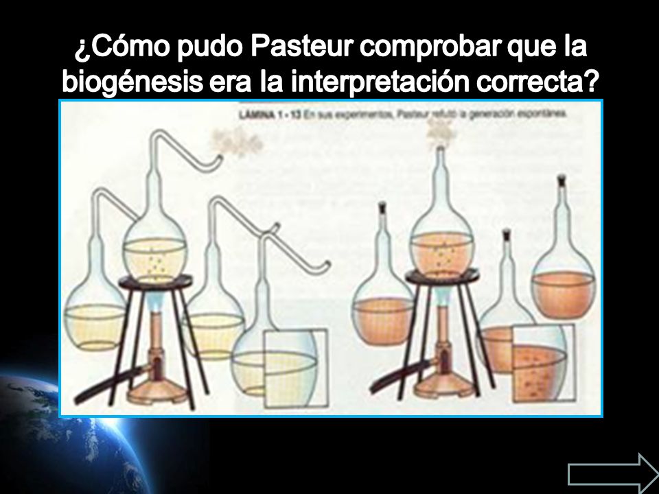 ¿Cómo pudo Pasteur comprobar que la biogénesis era la interpretación correcta