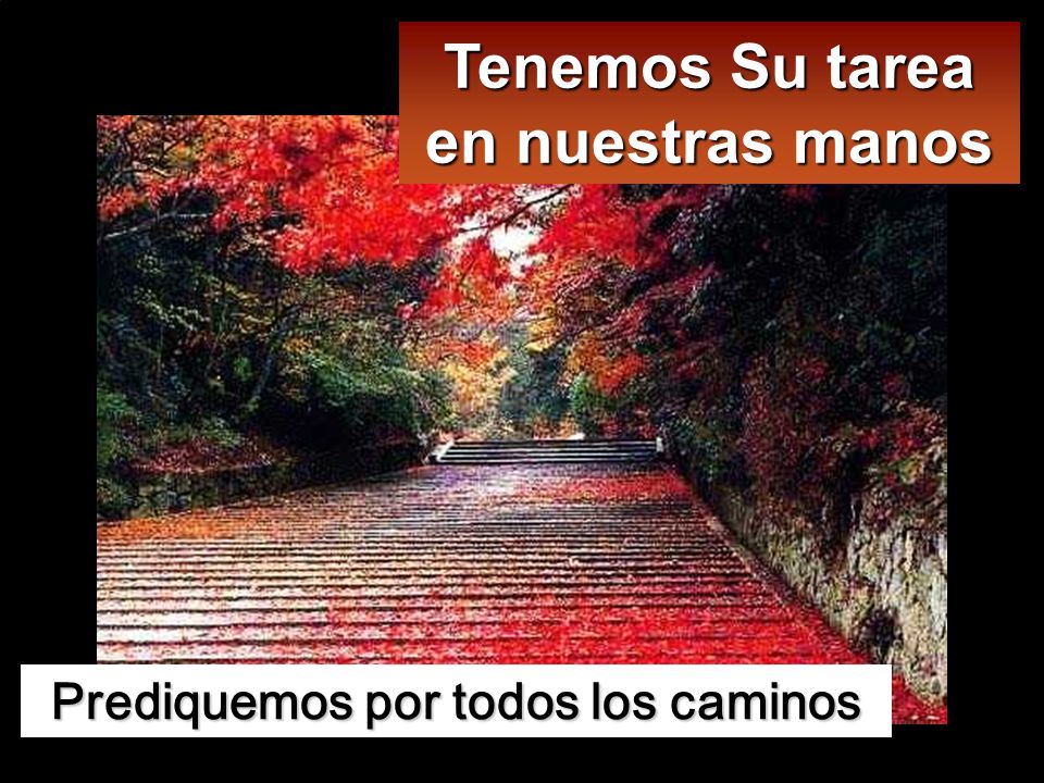 Tenemos Su tarea en nuestras manos Prediquemos por todos los caminos