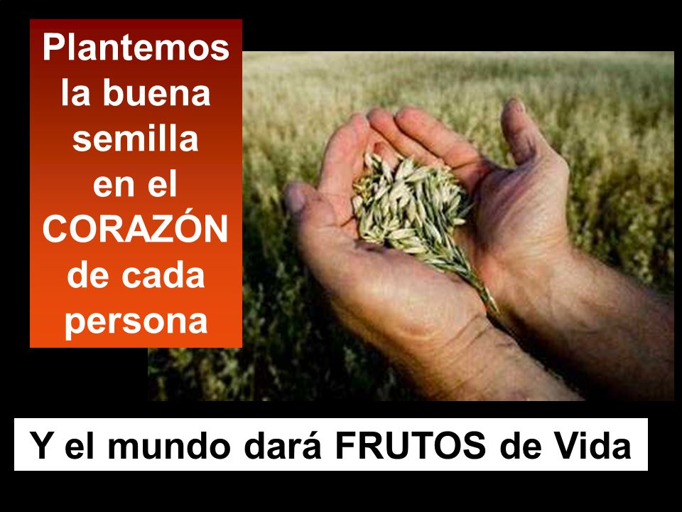 Plantemos la buena semilla en el CORAZÓN de cada persona