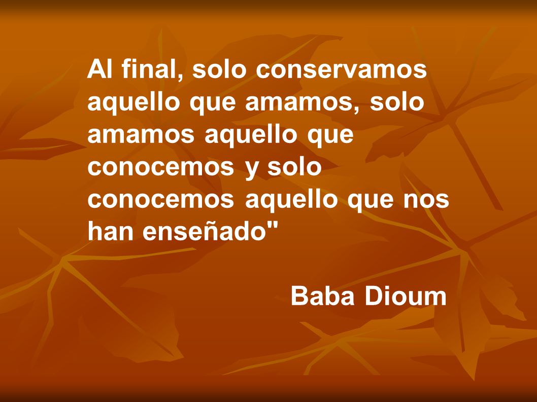 Al final, solo conservamos aquello que amamos, solo amamos aquello que conocemos y solo conocemos aquello que nos han enseñado