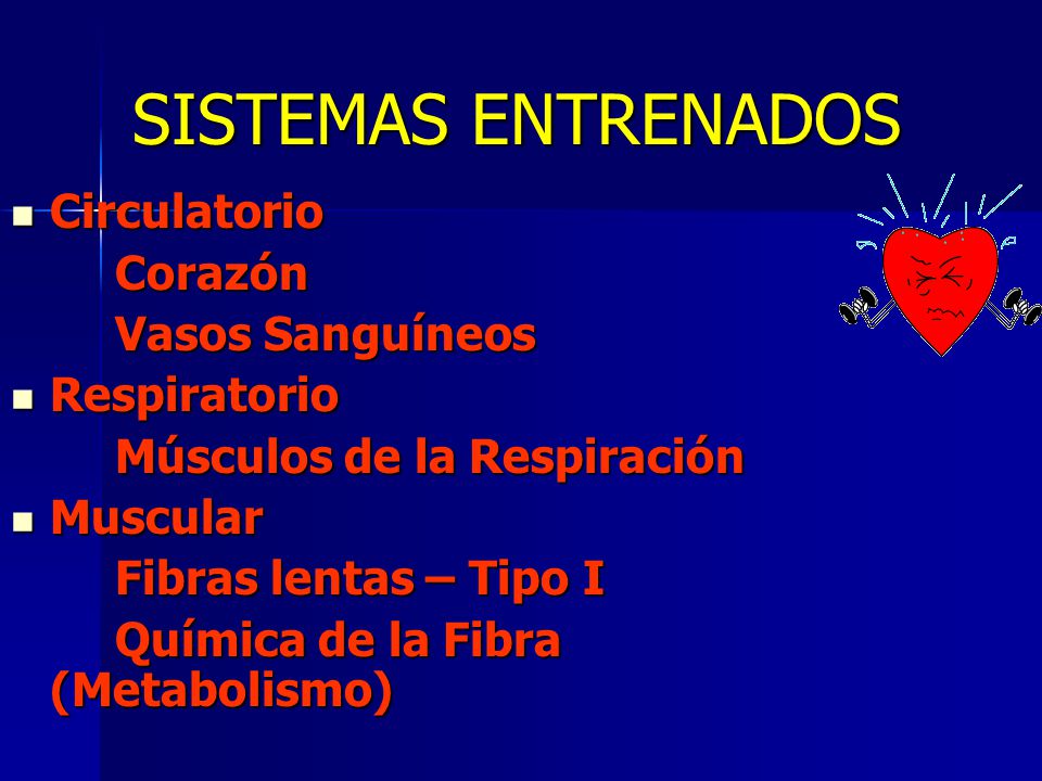 SISTEMAS ENTRENADOS Circulatorio Corazón Vasos Sanguíneos Respiratorio