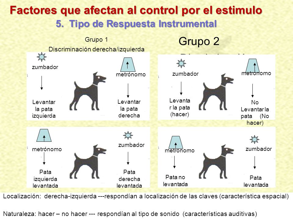 Factores que afectan al control por el estimulo