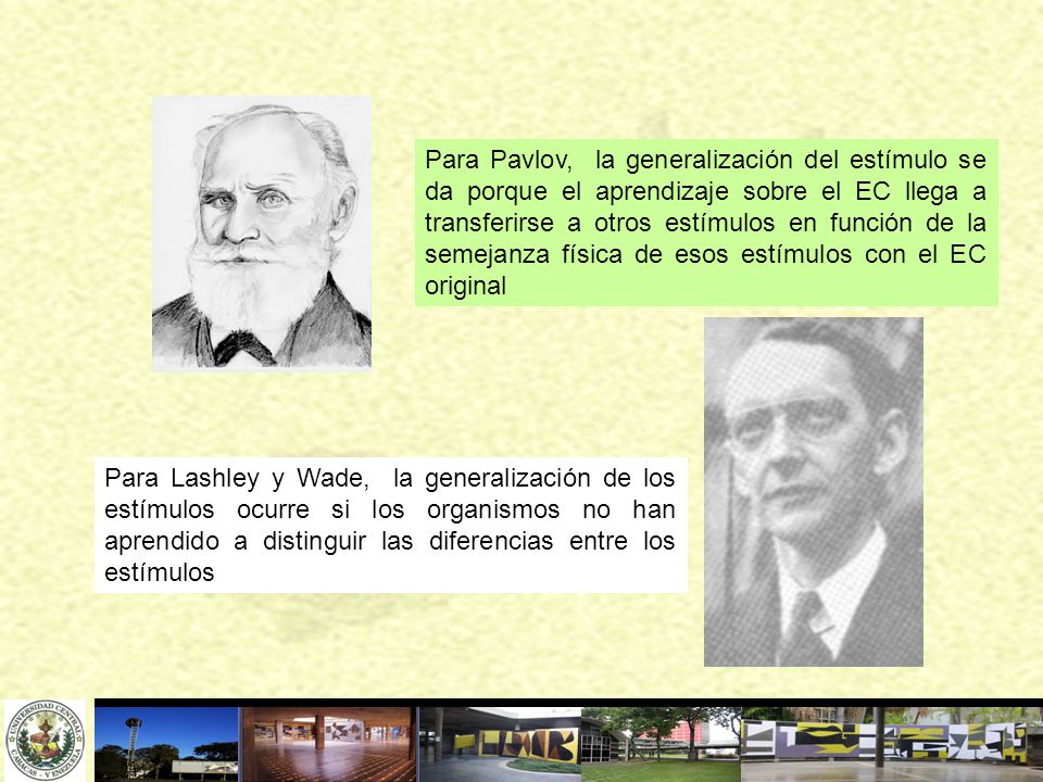 Para Pavlov, la generalización del estímulo se da porque el aprendizaje sobre el EC llega a transferirse a otros estímulos en función de la semejanza física de esos estímulos con el EC original