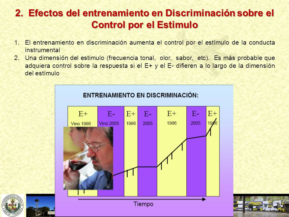 2. Efectos del entrenamiento en Discriminación sobre el Control por el Estimulo