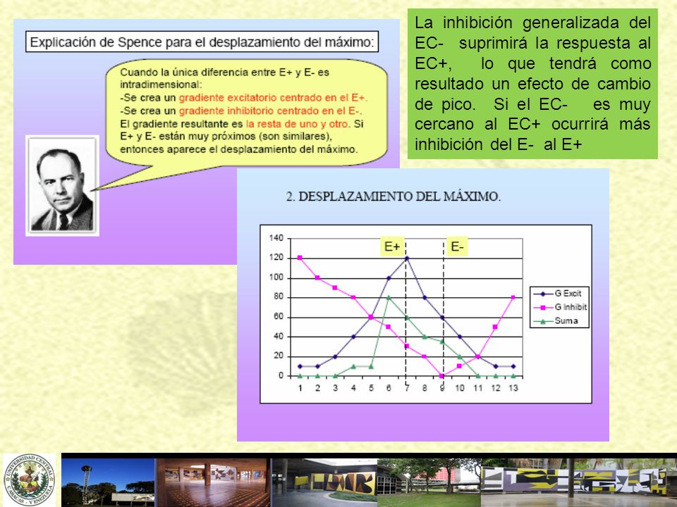La inhibición generalizada del EC- suprimirá la respuesta al EC+, lo que tendrá como resultado un efecto de cambio de pico.