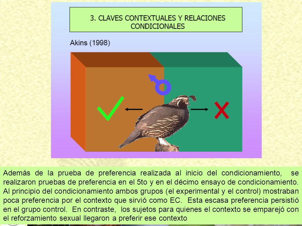 Además de la prueba de preferencia realizada al inicio del condicionamiento, se realizaron pruebas de preferencia en el 5to y en el décimo ensayo de condicionamiento.