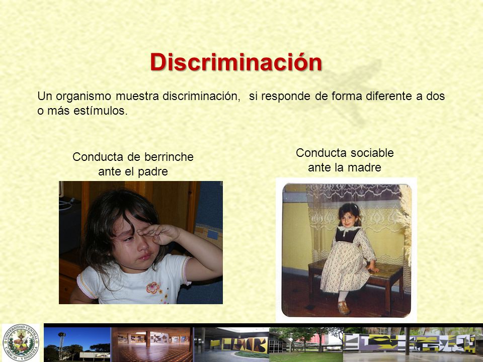 Discriminación Un organismo muestra discriminación, si responde de forma diferente a dos o más estímulos.