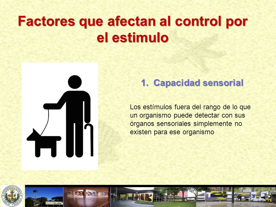 Factores que afectan al control por el estimulo