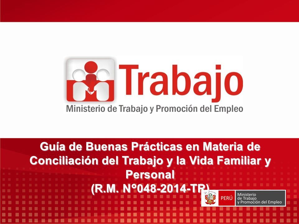 Guía de Buenas Prácticas en Materia de Conciliación del Trabajo y la Vida Familiar y Personal