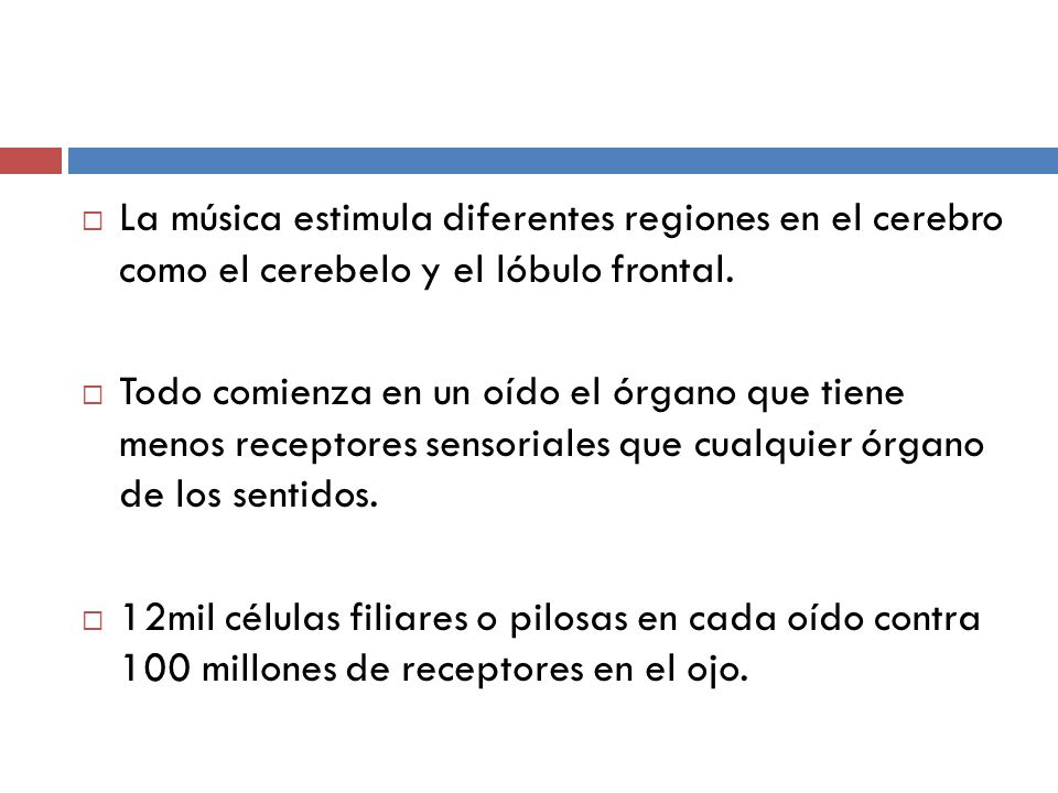 La música estimula diferentes regiones en el cerebro como el cerebelo y el lóbulo frontal.