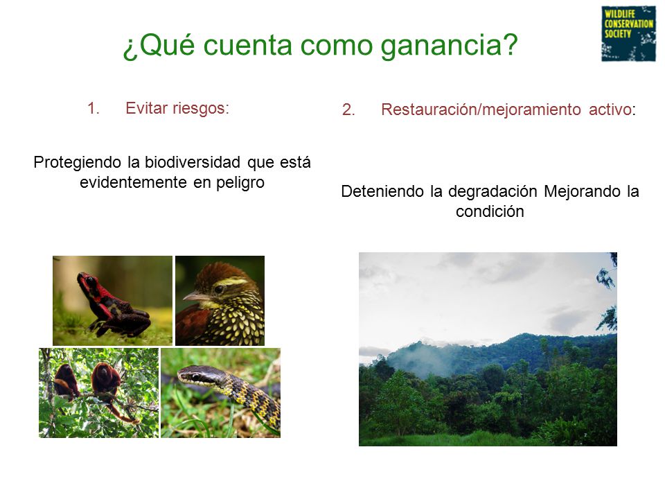 ¿Qué cuenta como ganancia