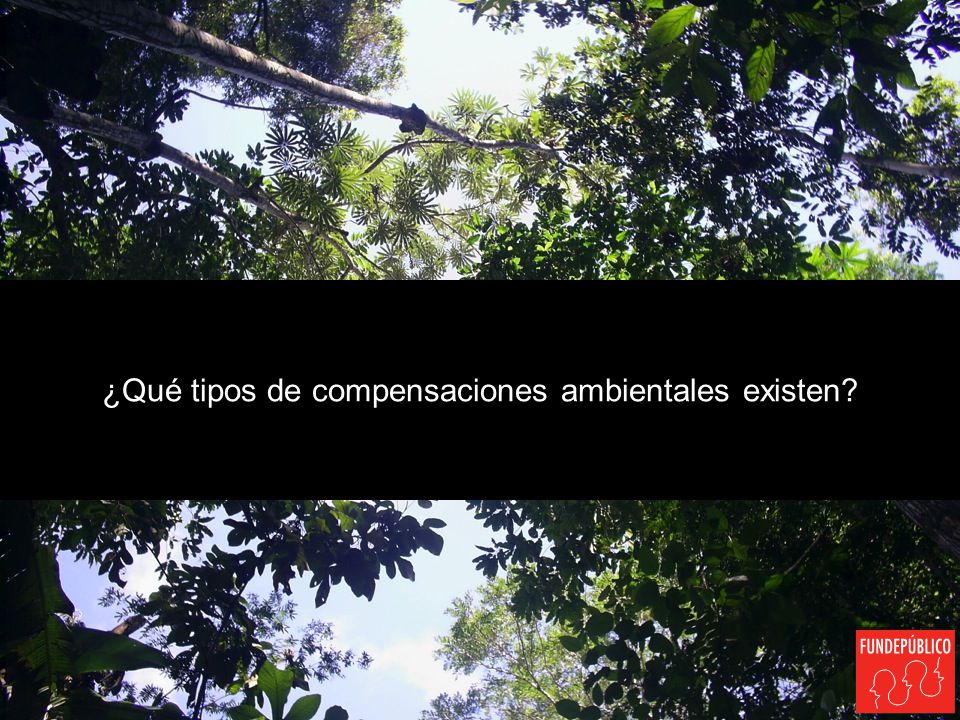 ¿Qué tipos de compensaciones ambientales existen
