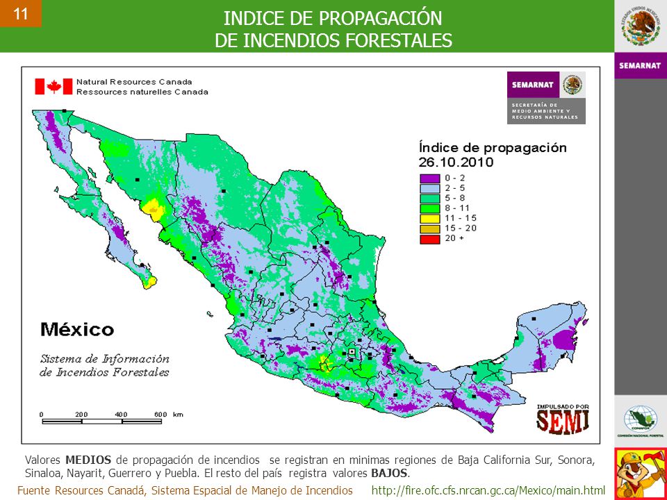 DE INCENDIOS FORESTALES