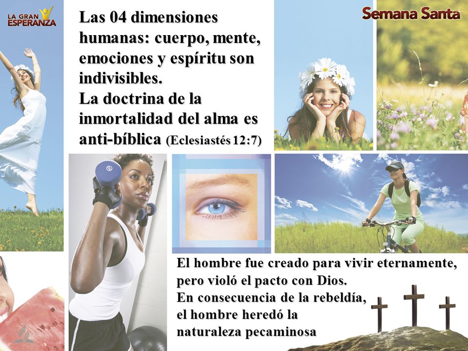 Las 04 dimensiones humanas: cuerpo, mente, emociones y espíritu son indivisibles.