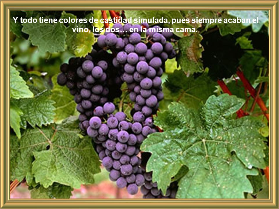 Y todo tiene colores de castidad simulada, pues siempre acaban el vino, los dos… en la misma cama.