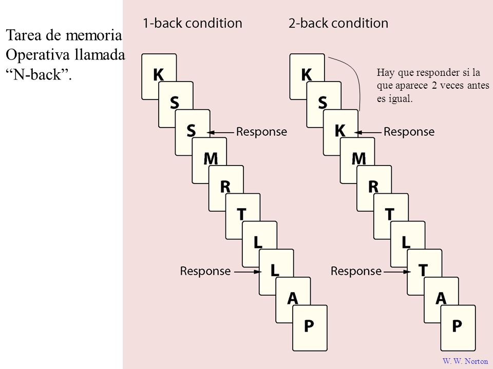 Tarea de memoria Operativa llamada N-back . Hay que responder si la