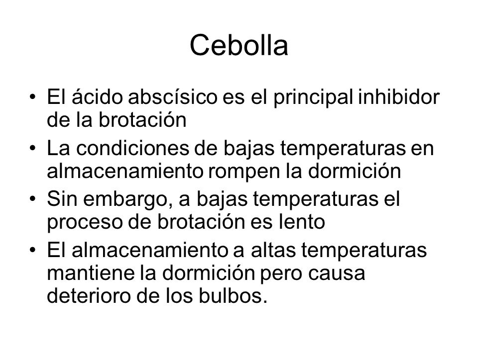 Cebolla El ácido abscísico es el principal inhibidor de la brotación