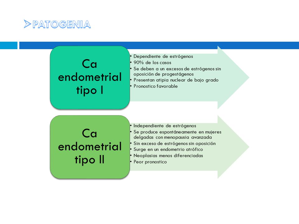 cancer endometrial tipo 2