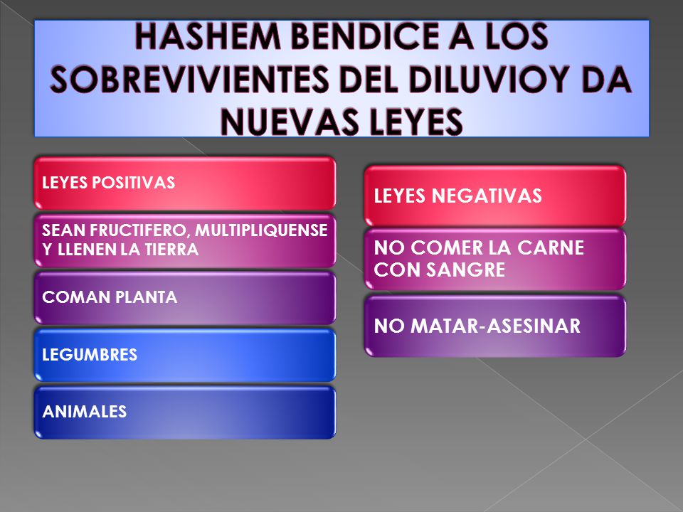 HASHEM BENDICE A LOS SOBREVIVIENTES DEL DILUVIOY DA NUEVAS LEYES