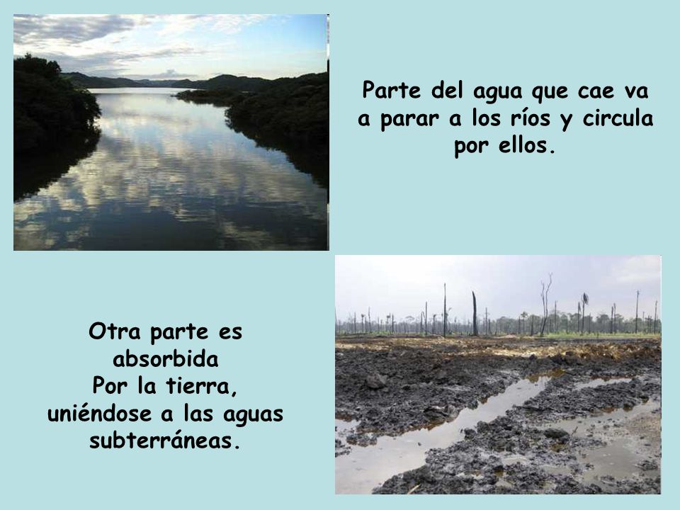 Parte del agua que cae va a parar a los ríos y circula por ellos.