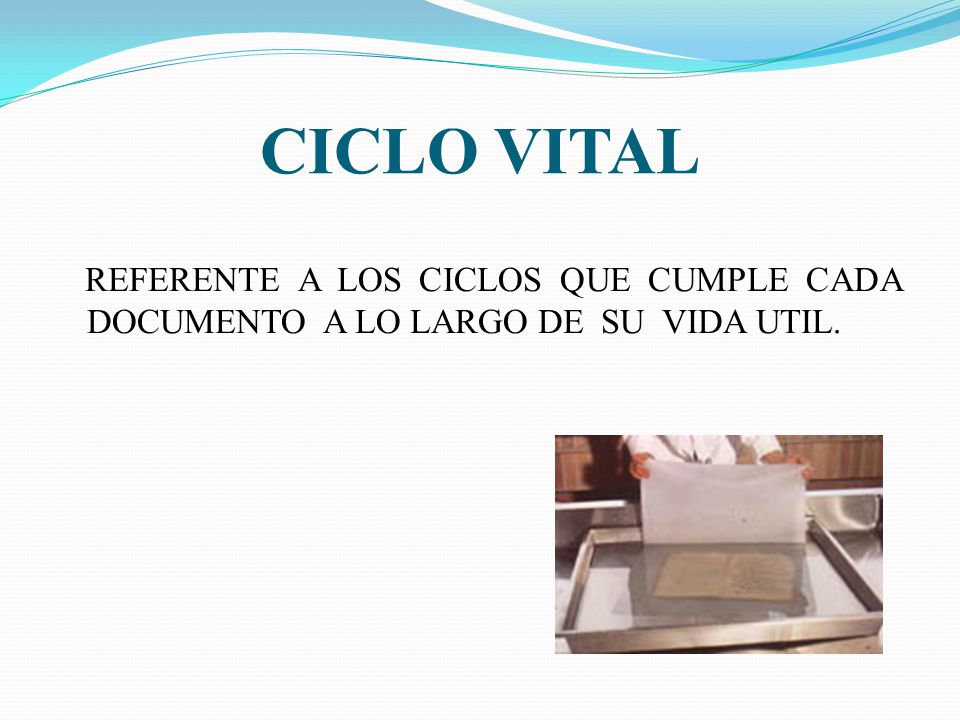 CICLO VITAL REFERENTE A LOS CICLOS QUE CUMPLE CADA DOCUMENTO A LO LARGO DE SU VIDA UTIL.