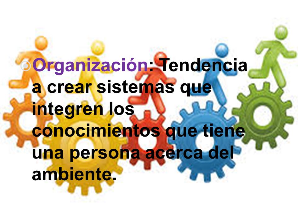 Organización: Tendencia a crear sistemas que integren los conocimientos que tiene una persona acerca del ambiente.