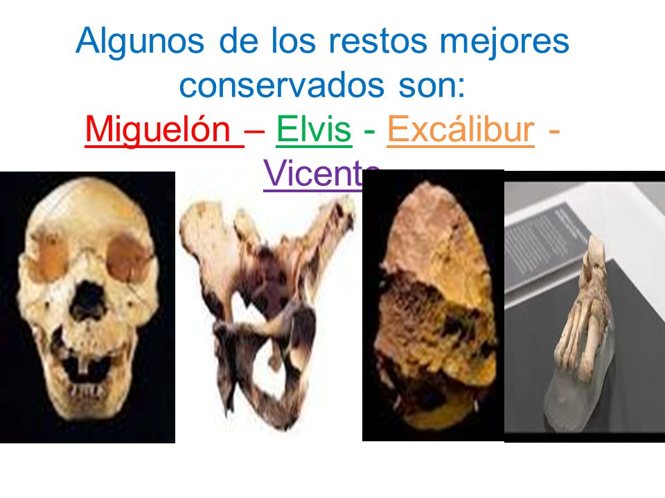 Algunos de los restos mejores conservados son: Miguelón – Elvis - Excálibur - Vicente