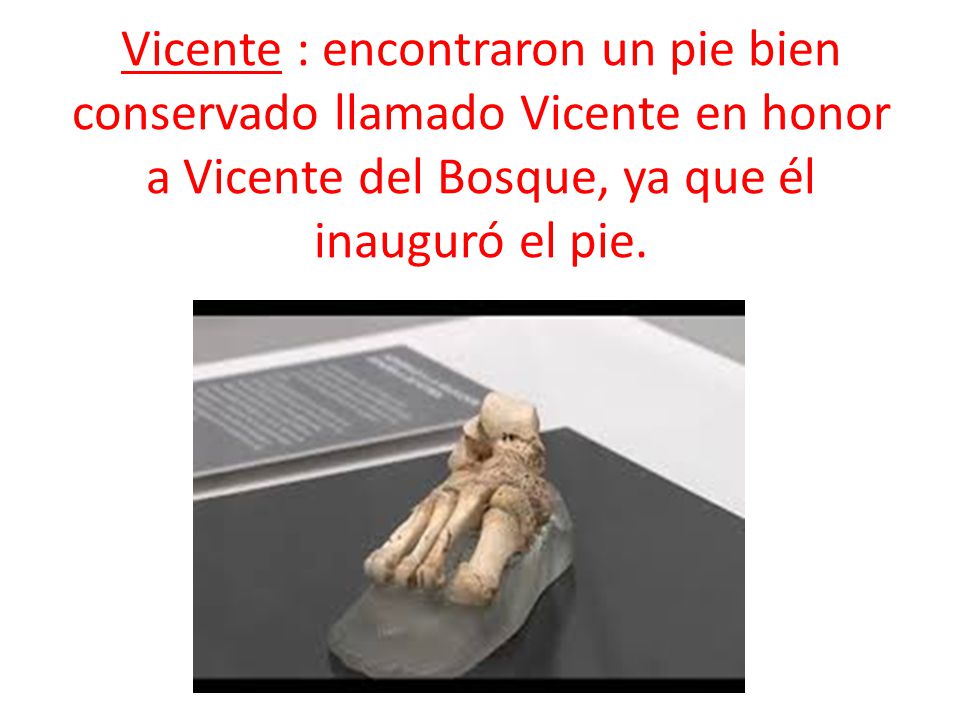 Vicente : encontraron un pie bien conservado llamado Vicente en honor a Vicente del Bosque, ya que él inauguró el pie.