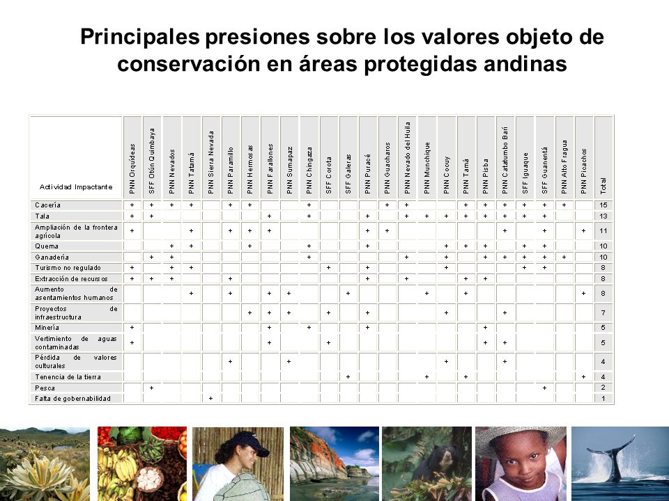 Principales presiones sobre los valores objeto de conservación en áreas protegidas andinas
