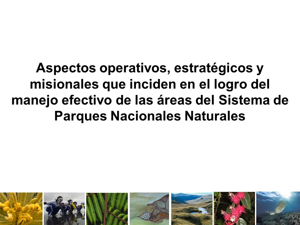 Aspectos operativos, estratégicos y misionales que inciden en el logro del manejo efectivo de las áreas del Sistema de Parques Nacionales Naturales