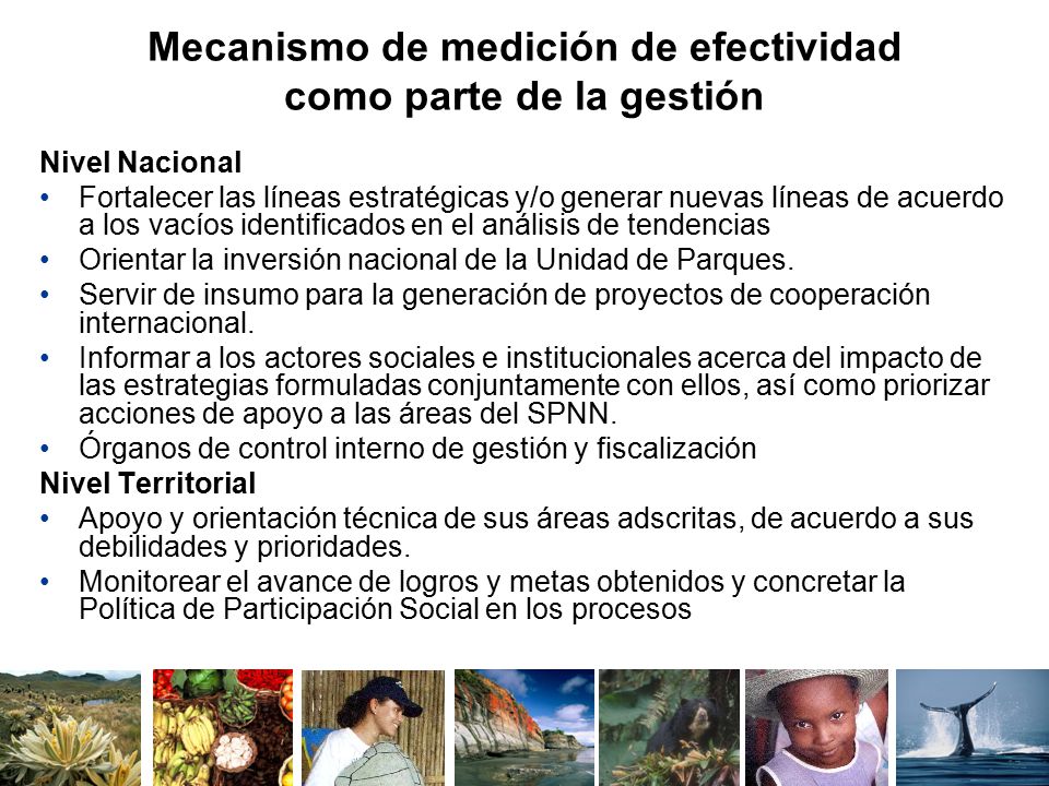 Mecanismo de medición de efectividad como parte de la gestión