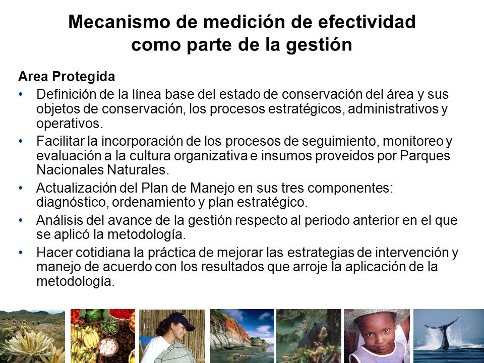 Mecanismo de medición de efectividad como parte de la gestión