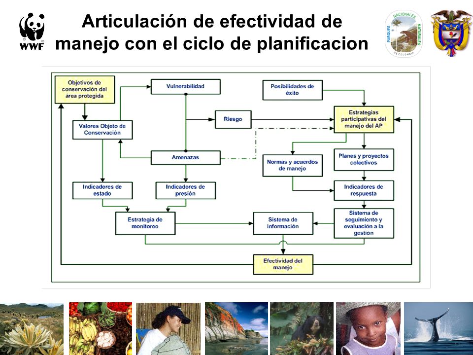 Articulación de efectividad de manejo con el ciclo de planificacion