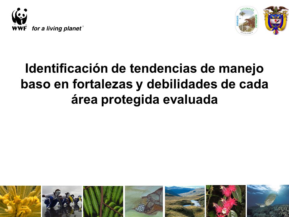 Identificación de tendencias de manejo baso en fortalezas y debilidades de cada área protegida evaluada