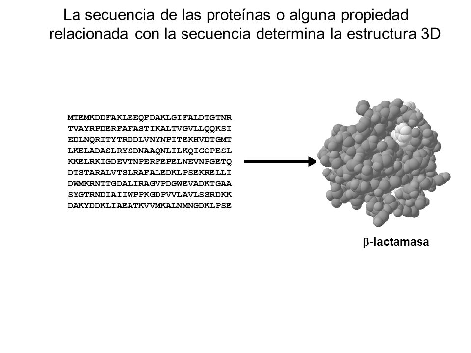 La secuencia de las proteínas o alguna propiedad relacionada con la secuencia determina la estructura 3D
