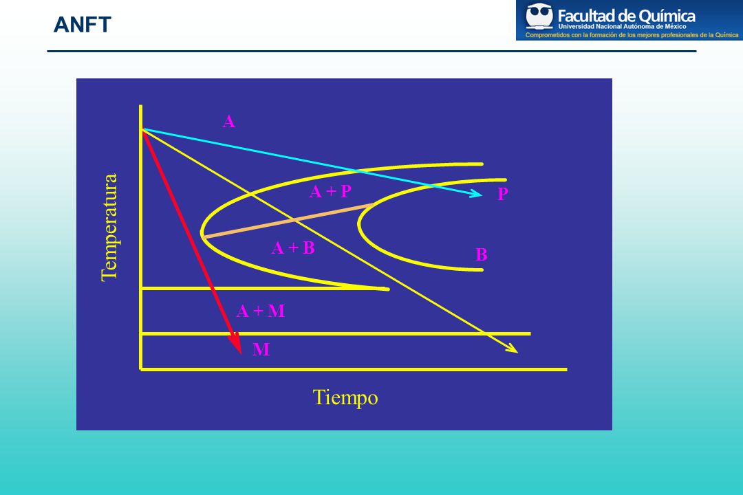 ANFT A A + P P Temperatura A + B B A + M M Tiempo