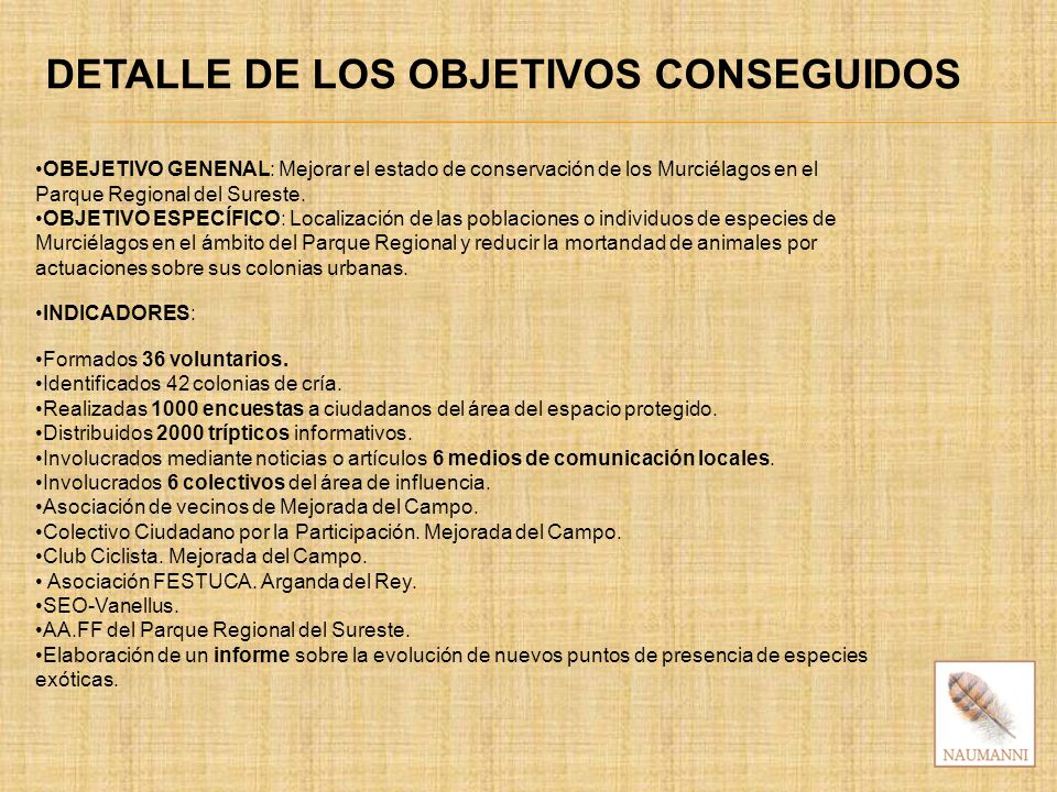DETALLE DE LOS OBJETIVOS CONSEGUIDOS