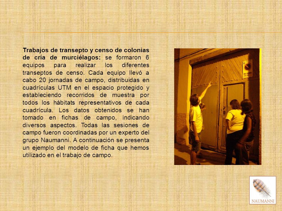 Trabajos de transepto y censo de colonias de cría de murciélagos: se formaron 6 equipos para realizar los diferentes transeptos de censo.