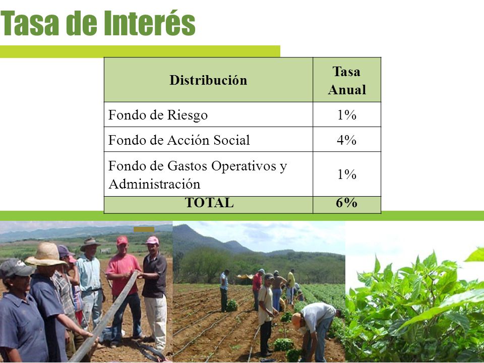 Tasa de Interés Distribución Tasa Anual Fondo de Riesgo 1%