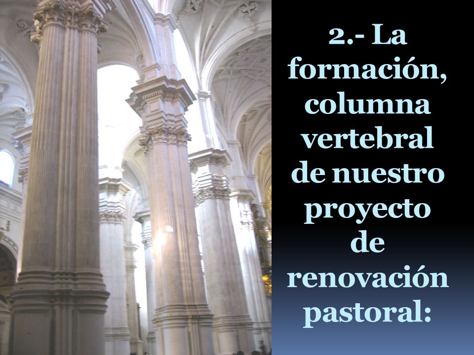 2.- La formación, columna vertebral de nuestro proyecto de renovación pastoral: