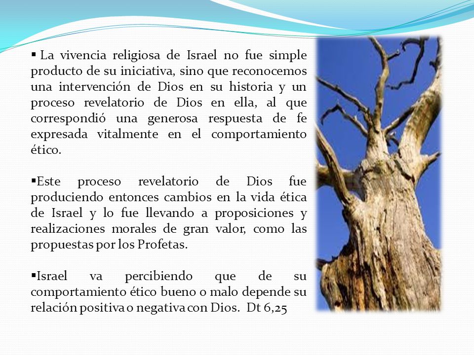La vivencia religiosa de Israel no fue simple producto de su iniciativa, sino que reconocemos una intervención de Dios en su historia y un proceso revelatorio de Dios en ella, al que correspondió una generosa respuesta de fe expresada vitalmente en el comportamiento ético.