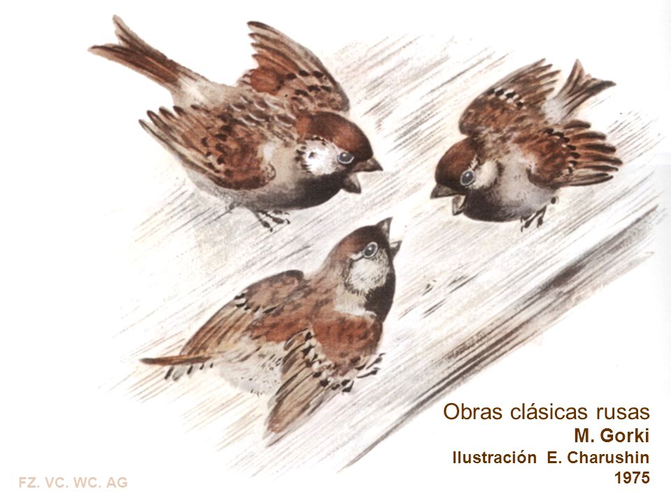 Obras clásicas rusas M. Gorki Ilustración E. Charushin 1975