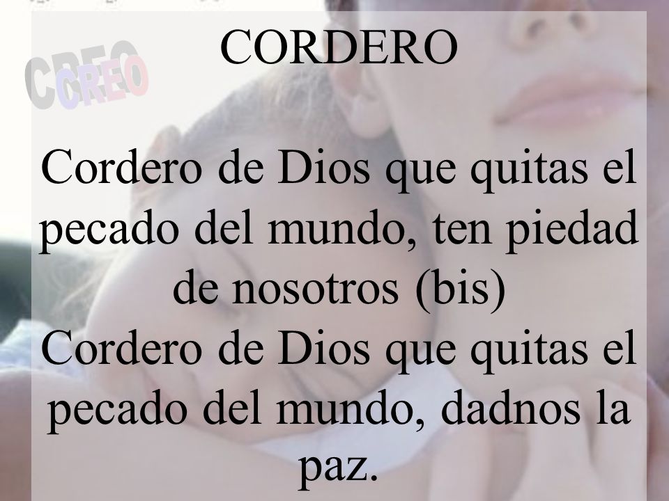 Cordero de Dios que quitas el pecado del mundo, dadnos la paz.