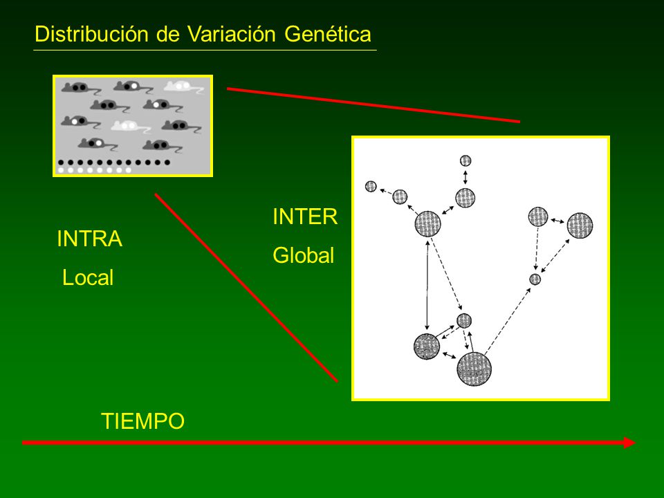 Distribución de Variación Genética